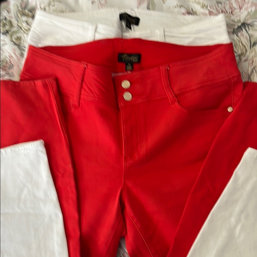 Lot 2 size 12 stretch jeans by Thalia Sodi.